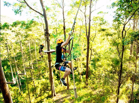 TreeTop Challenge - Accommodation Main Beach 1