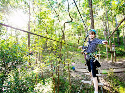 TreeTop Challenge - Accommodation Main Beach 2