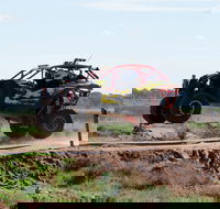 Turbo Buggy Ride - Accommodation Main Beach