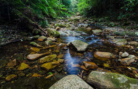 Willi Willi National Park - Accommodation Main Beach 0