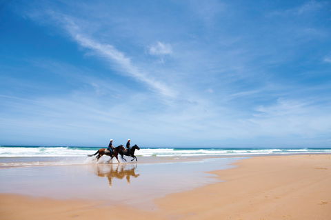 Worimi National Park - Accommodation Main Beach 2