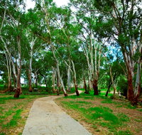 Adungadoo Pathway - Accommodation Main Beach
