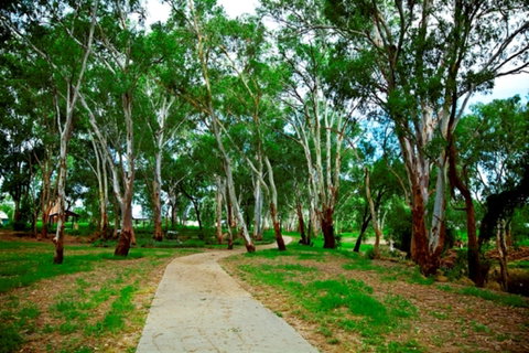 Adungadoo Pathway - Accommodation Main Beach 0