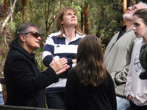 Ancient Empire Walk, Valley Of The Giants - Accommodation Main Beach 1