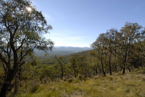 Bunyip State Park - Accommodation Main Beach 0