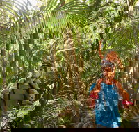 Canungra - Accommodation Main Beach