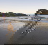 Cape Hillsborough National Park - Accommodation Main Beach