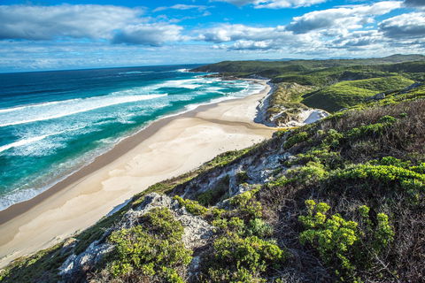 Conspicuous Cliff - Accommodation Main Beach 0