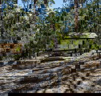 Couridjah Corridor Walk - Accommodation Main Beach