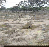 Culgoa Connellys Track - Accommodation Main Beach