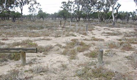Culgoa Connellys Track - Accommodation Main Beach 0