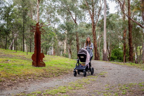 Currawong Bush Park - Accommodation Main Beach 0