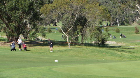 Devilbend Golf Club - Accommodation Main Beach 2