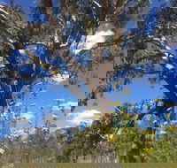 Euroa Arboretum - Accommodation Main Beach