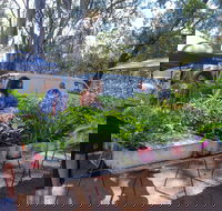 Fernvale Country Markets - Accommodation Main Beach