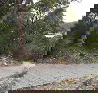 Great North Walk  Ku-ring-gai Chase National Park - Accommodation Main Beach