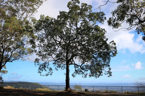 Heaton State Forest - Watagan Mountains - Accommodation Main Beach 2