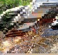 Honey Tasmania - The Beehive - Accommodation Main Beach