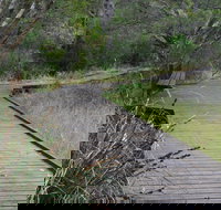 Leschenault Peninsula Conservation Park - Accommodation Main Beach