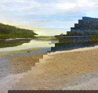 Mangrove Walk - Accommodation Main Beach