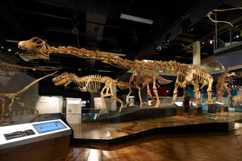Melbourne Museum - Accommodation Main Beach 1