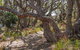 Middle Lagoon Walking Track - thumb 0