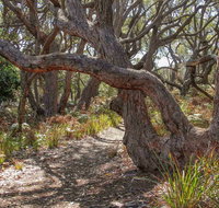 Middle Lagoon Walking Track - Accommodation Main Beach