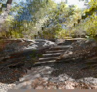 Mooney Mooney nature walk - Accommodation Main Beach