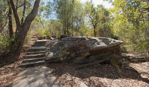 Mooney Mooney Nature Walk - Accommodation Main Beach 0