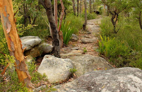 Mount Olive Trail - Accommodation Main Beach 0