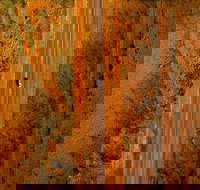 Newcastle Waters - Accommodation Main Beach