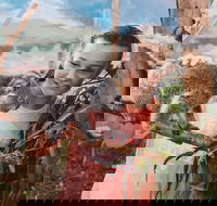 Oakvale Wildlife Park - Accommodation Main Beach