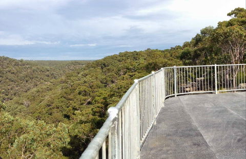 O'Hares Creek Lookout - Accommodation Main Beach 0
