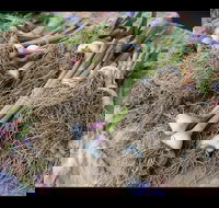 Queanbeyan Park Market - Accommodation Main Beach