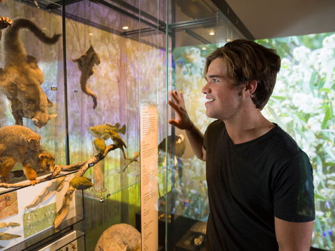 Queensland Museum - Accommodation Main Beach 0