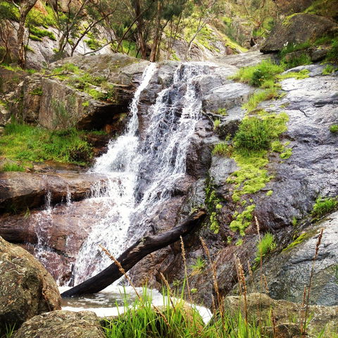 Salisbury Falls Walk - Accommodation Main Beach 1