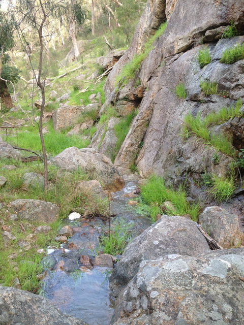 Salisbury Falls Walk - Accommodation Main Beach 2