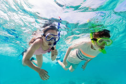 Snorkel Hat Head Creek - Accommodation Main Beach 0
