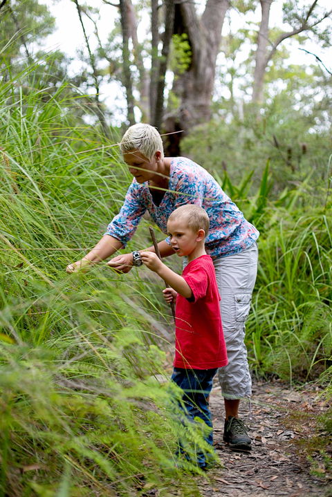 Strickland State Forest - Accommodation Main Beach 2