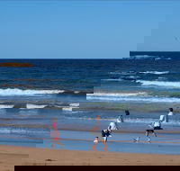 Surf Beach Batemans Bay - Accommodation Main Beach