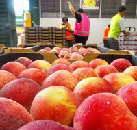 Sydney Produce Market - Accommodation Main Beach