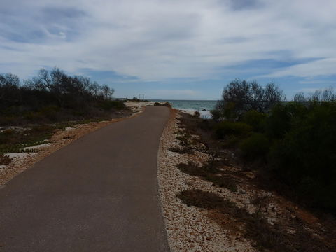 Turquoise Way Trail, Jurien Bay - Accommodation Main Beach 0