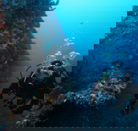 Twelve Apostles Marine National Park - Accommodation Main Beach