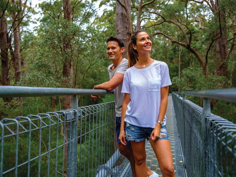 Valley Of The Giants Tree Top Walk - Accommodation Main Beach 0
