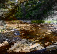 Wilson River picnic area - Accommodation Main Beach