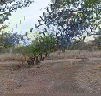 Alexander Forest Memorial - Accommodation Main Beach