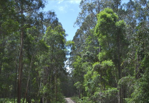 Alfred National Park - Accommodation Main Beach 1