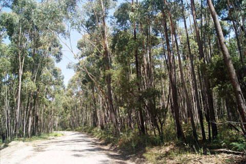 Alfred National Park - Accommodation Main Beach 2