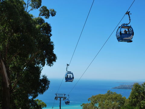 Arthurs Seat Eagle - Accommodation Main Beach 0