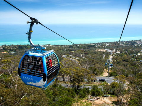 Arthurs Seat Eagle - Accommodation Main Beach 1